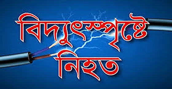 কমলনগরে আম পাড়তে গিয়ে মাদ্রাসা ছাত্রের মৃত্যু