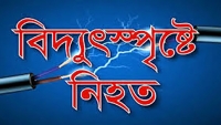 কমলনগরে আম পাড়তে গিয়ে মাদ্রাসা ছাত্রের মৃত্যু