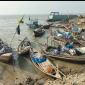 আজ থেকে মেঘনায় ২২ দিন সকল ধরনের মাছ ধরা বন্ধ
