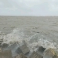 মেঘনায় জোয়ারের পানিতে রামগতি-কমলনগরের উপকূলীয় এলাকা প্লাবিত, হুমকিতে লক্ষাধিক মানুষ