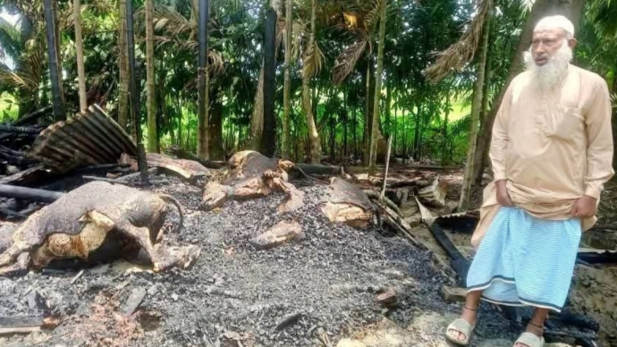 কমলনগরে দুর্বৃত্তের আগুনে পুড়লো কৃষকের ৪ গরু