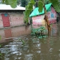 অস্বাভাবিক জোয়ার ও টানা বৃষ্টিতে রামগতি-কমলনগরের মেঘনা উপকূলীয় এলাকা প্লাবিত