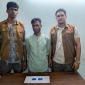 রায়পুরে ইয়াবাসহ মাদক কারবারী গ্রেপ্তার