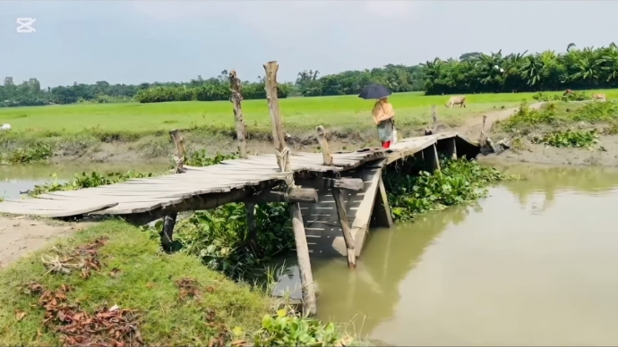 রায়পুরে দুর্গমচরের ৭ হাজার মানুষের দুর্ভোগ দূর করতে পারে একটি সেতু
