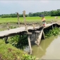 রায়পুরে দুর্গমচরের ৭ হাজার মানুষের দুর্ভোগ দূর করতে পারে একটি সেতু